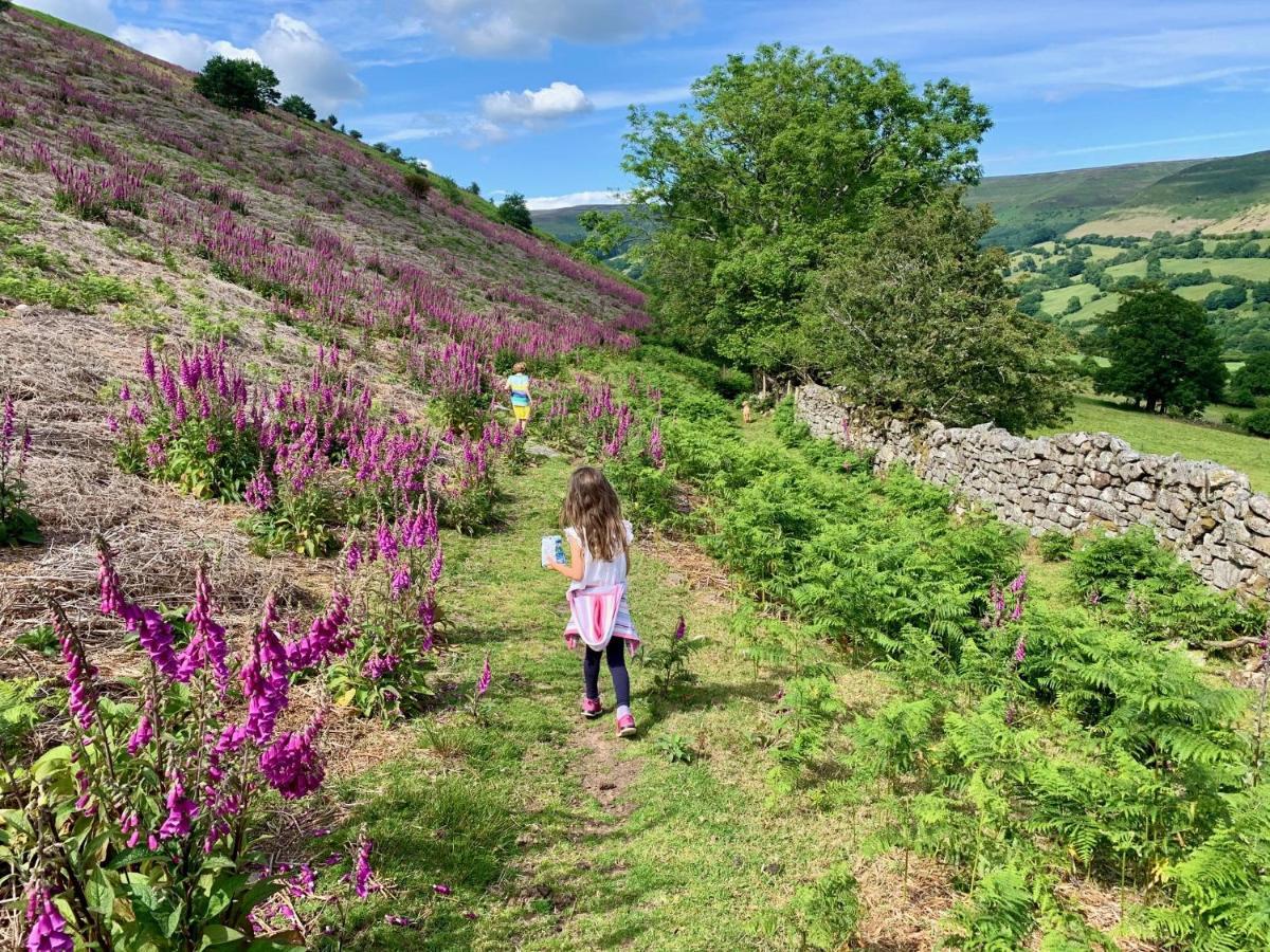 Black Mountains Stylish Hideaway, Nr Crickhowell Llanbedr  Eksteriør bilde
